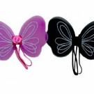 Small Wings