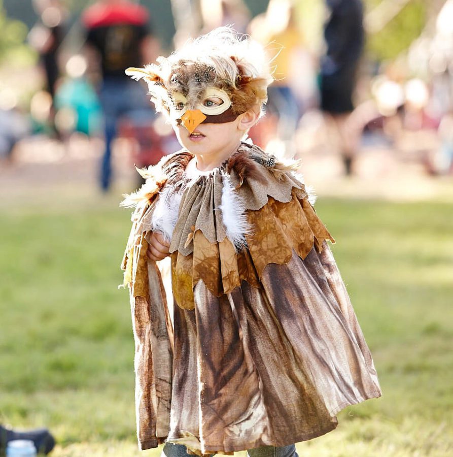 Owl Costume for the Tribal Tournament - Just So Festival 2016