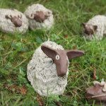 adult workshop sheep