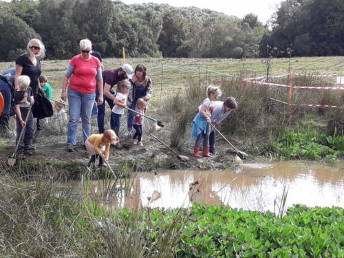 Pond Dipping at Into The Trees